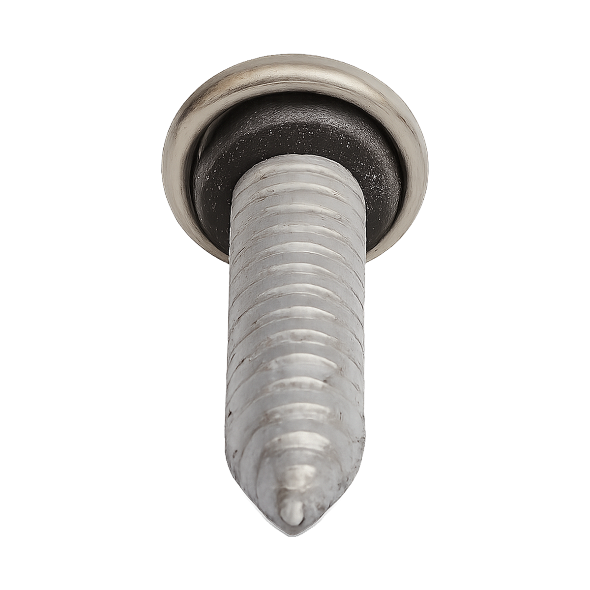 Tornillo de Reparacion Con Neopreno Inoxidable